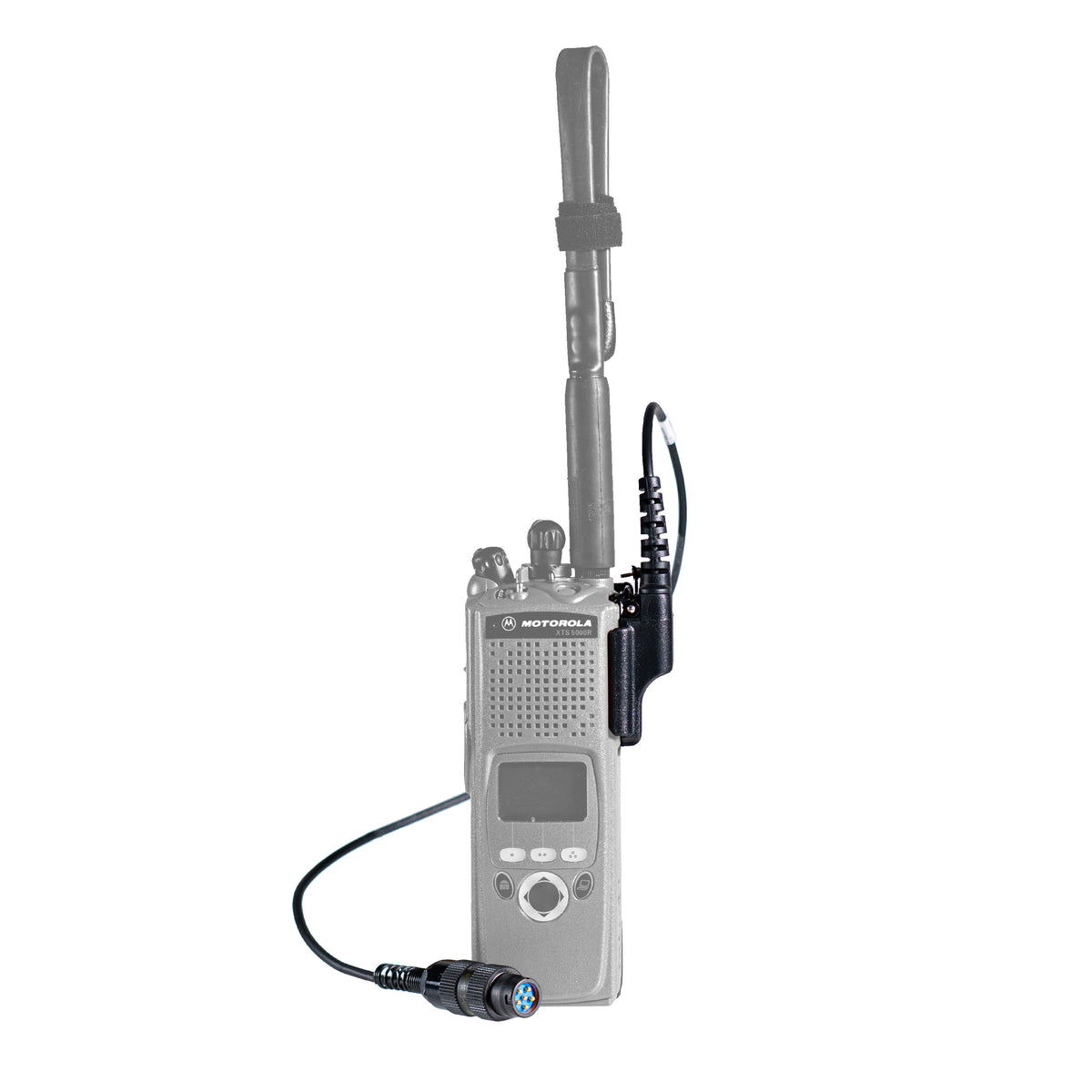 M55116 to XTS - Dynamic (Low Impedance)