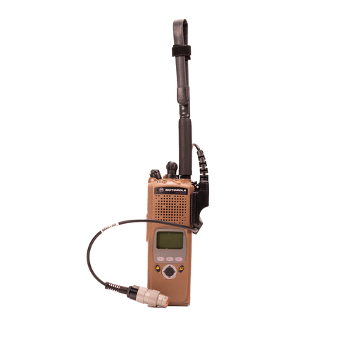 M55116 to XTS - DISCO32